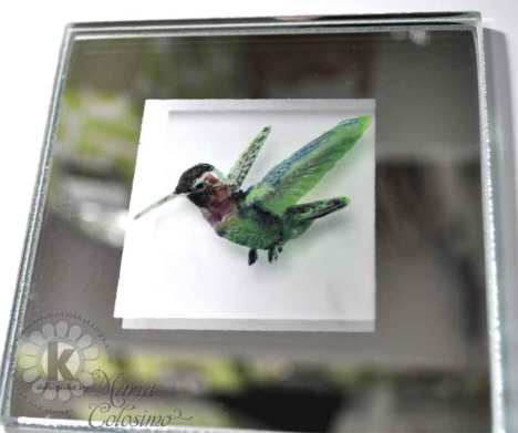 KSS-Humming-Bird-close-up
